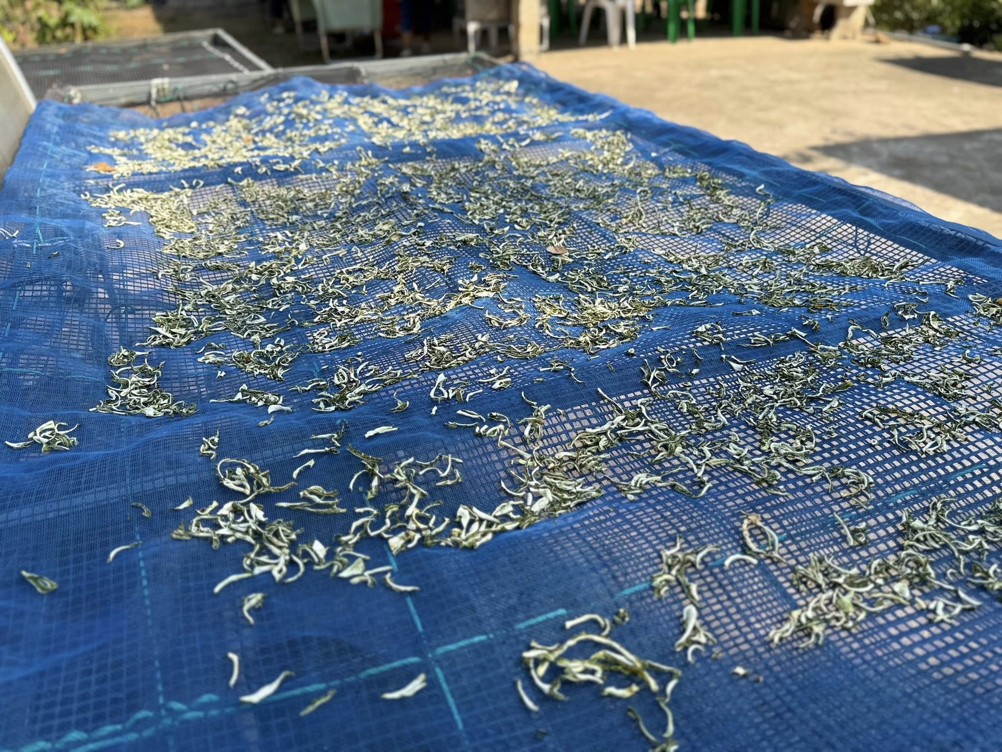 title - วันอังคารที่ 27 มกราคม 2569 ผู้ตรวจราชการ ส.ป.ก. ประชุมตรวจราชการและติดตามความก้าวหน้าผลการดำเนินงานตามแผนการตรวจราชการของผู้ตรวจราชการสำนักงานการปฏิรูปที่ดินเพื่อเกษตรกรรม ประจำปีงบประมาณ พ.ศ. 2569 รอบที่ 1 เขตตรวจราชการที่ 9 จังหวัดปราจีนบุรี